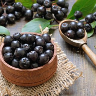 Hľadáte ovocie s mimoriadnym obsahom polyfenolov? 🫐 Arónia je tmavé bobuľové ovocie s výraznou chuťou; vhodná do smoothie,...